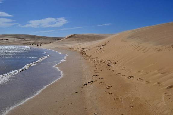 As dunas chegam quase até o mar nas proximidades de Valizas, perto de Cabo polonio, no litoral do Uruguai (foto de Uruguay Anti Natural)
